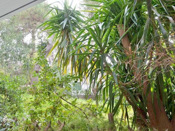 Vouliagmeni'S Secret Garden Near The Sea Apartment Атина Екстериор снимка