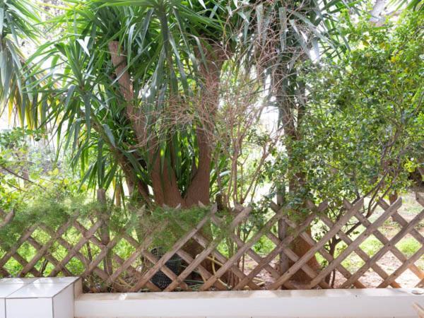 Vouliagmeni'S Secret Garden Near The Sea Apartment Атина Екстериор снимка